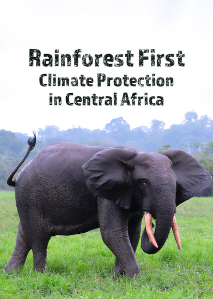 Rainforest First: Climate Protection in Central Africa on Netflix UK